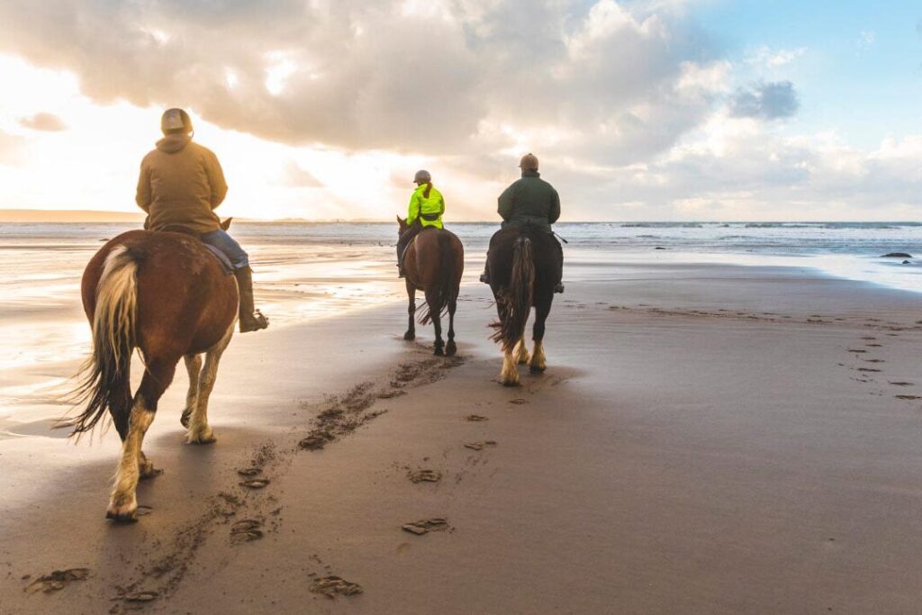 Paseos a caballo por la playa: una experiencia única en la Costa de la Luz