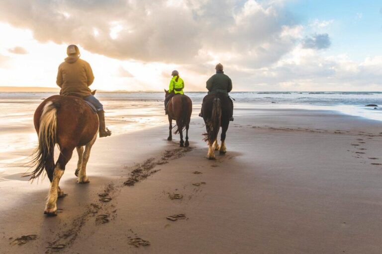 Paseos a caballo por la playa: una experiencia única en la Costa de la Luz